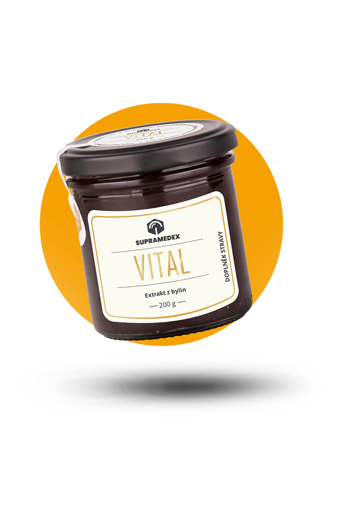mensi 2 vital | Úvod